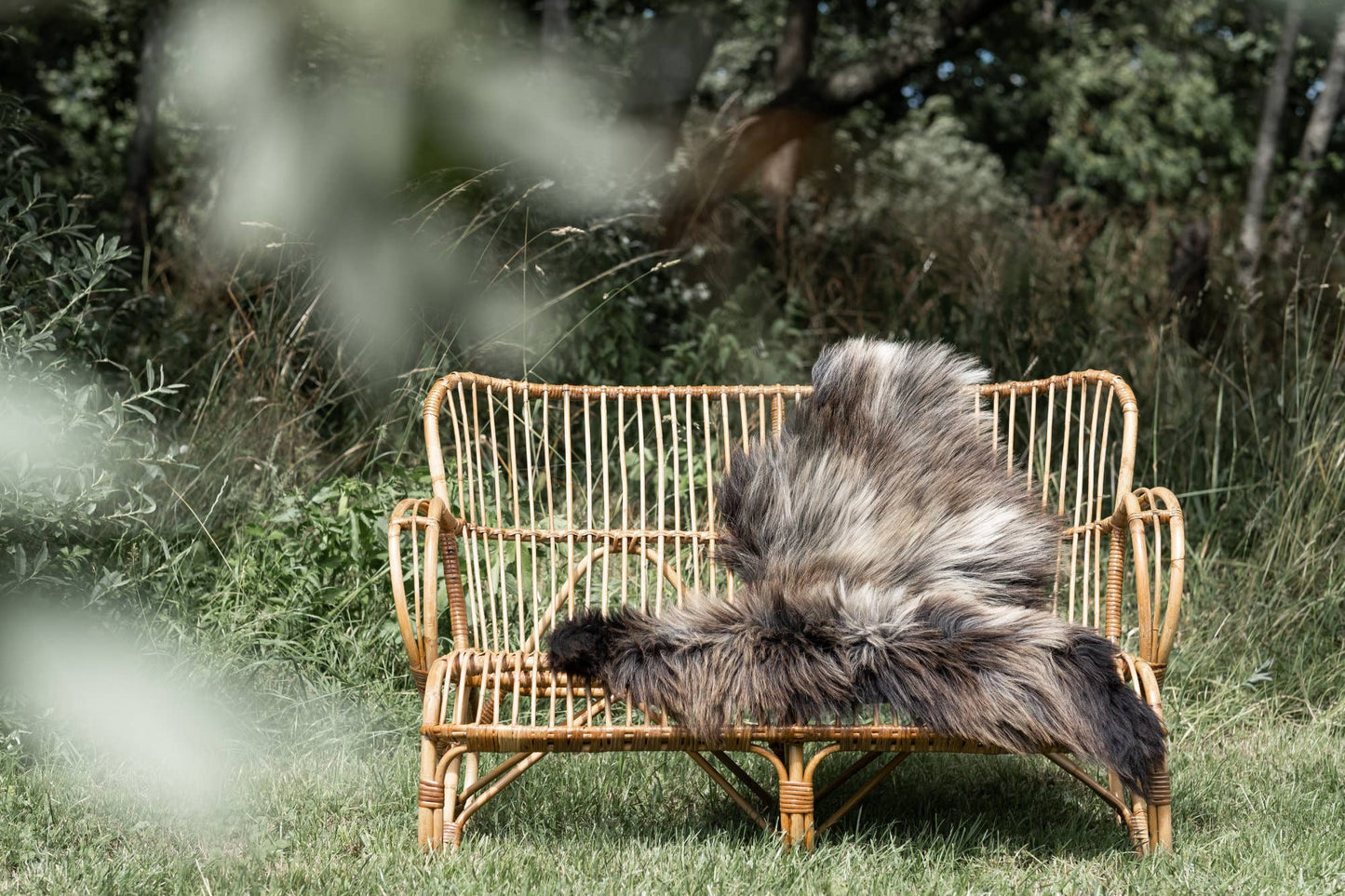 Blue Texel Sheepskin
