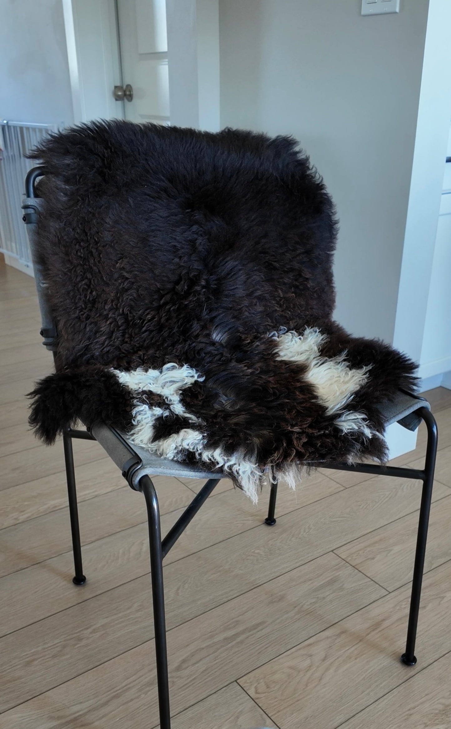 Curly Austrian Lambskin