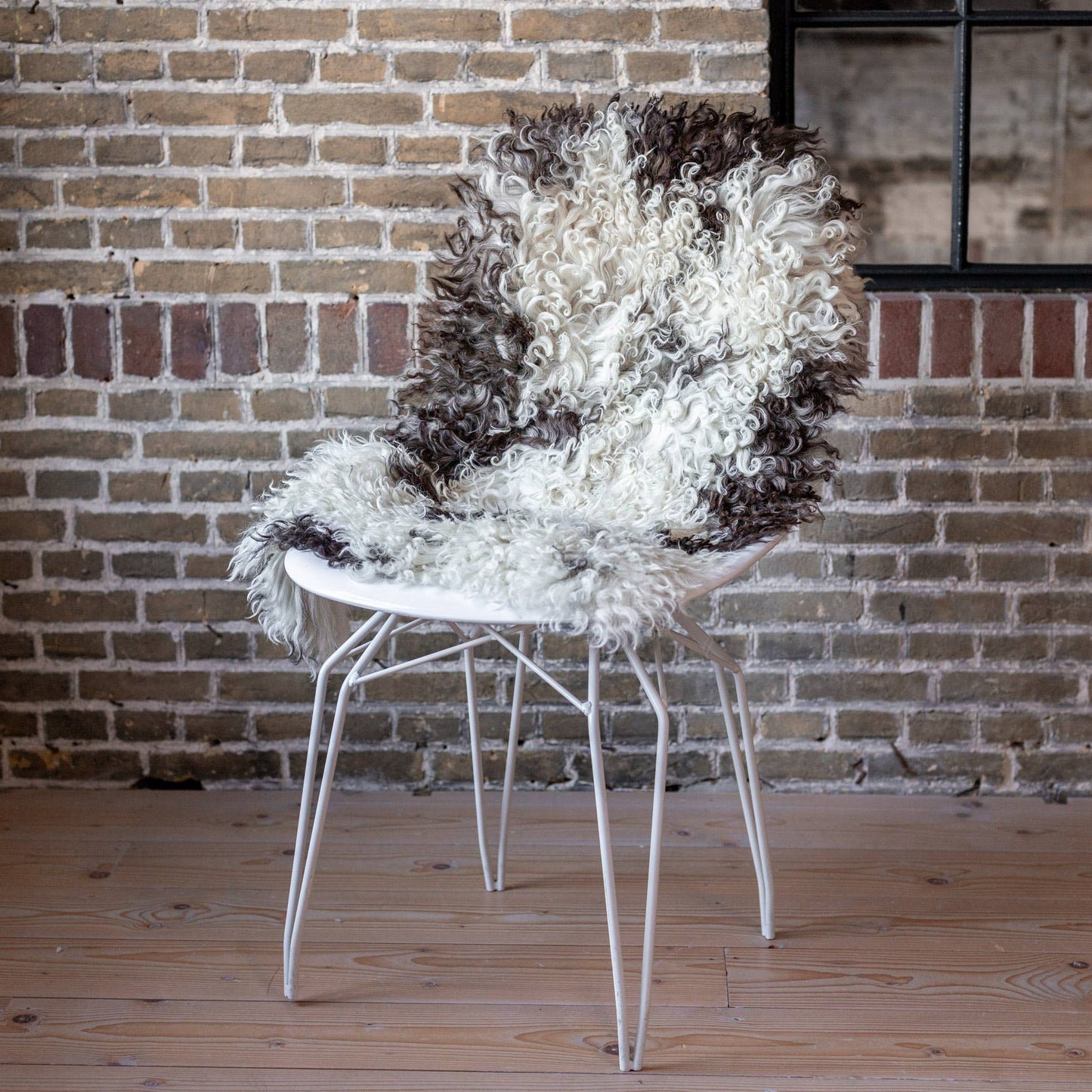 Curly Austrian Lambskin
