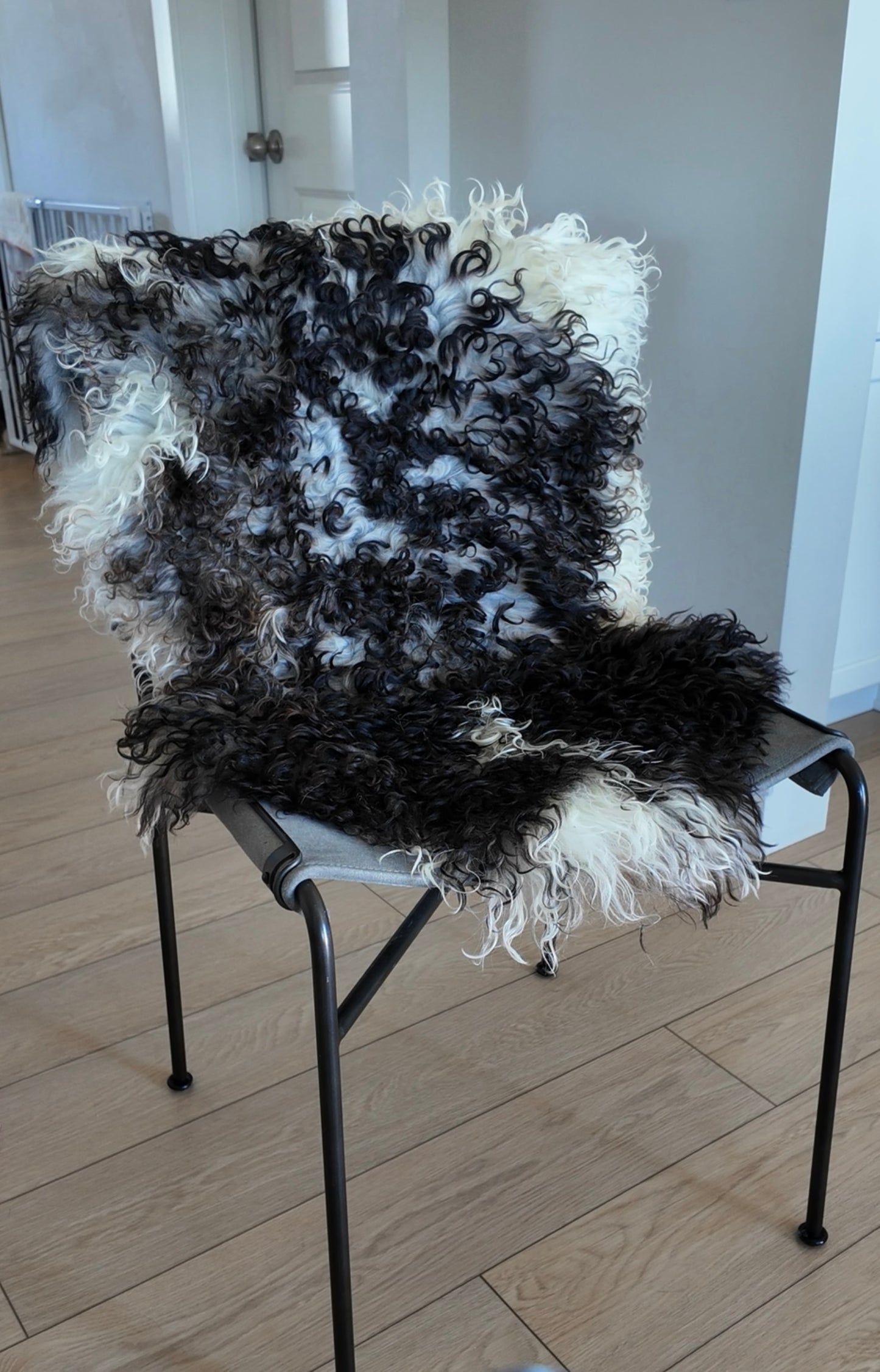 Curly Austrian Lambskin