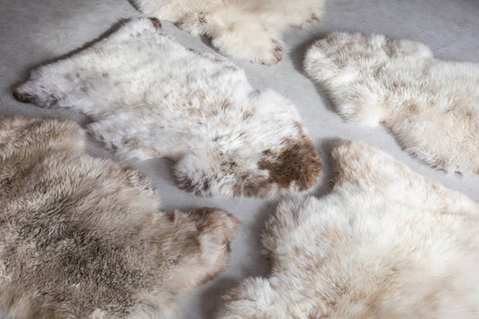 Sheepskin Care