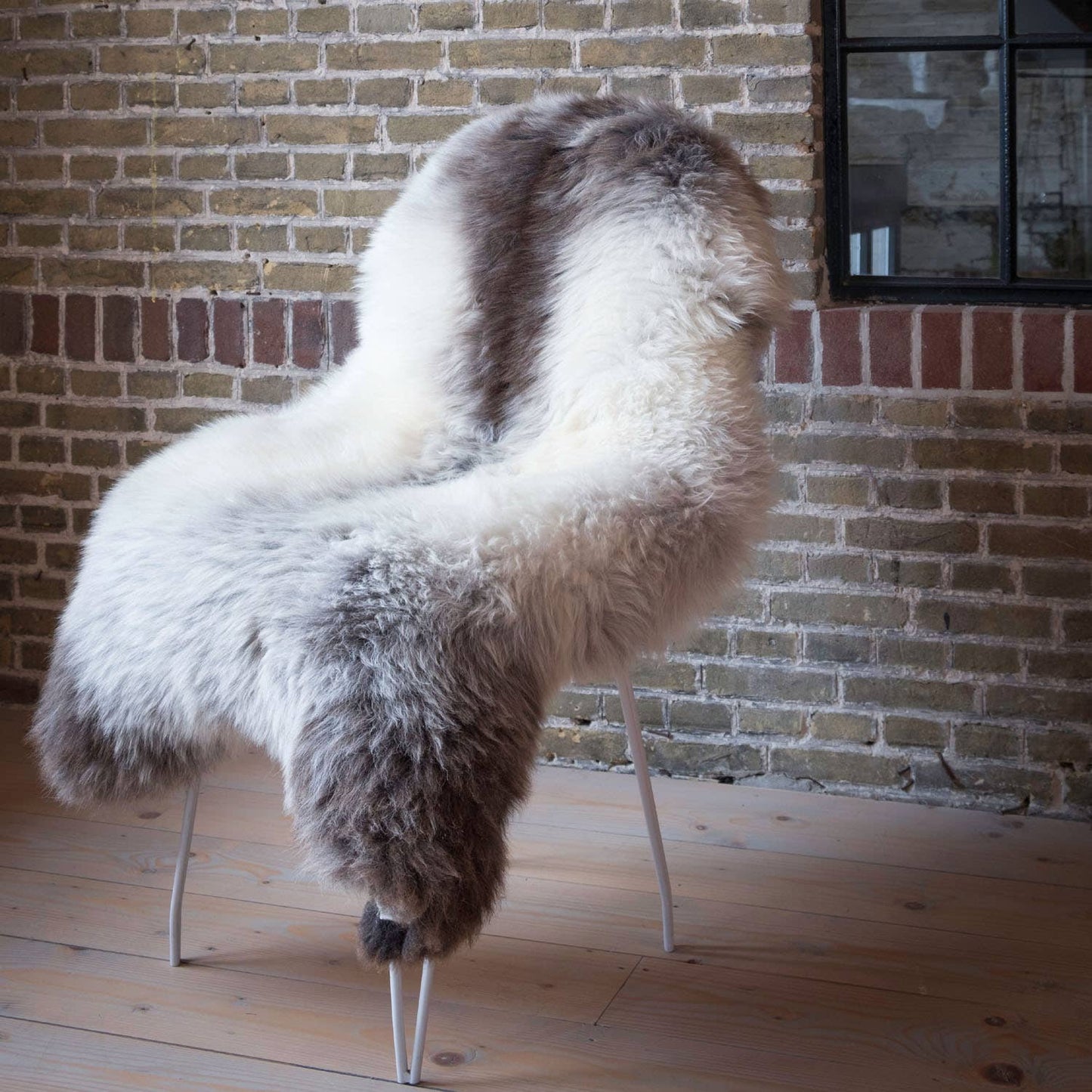Blue Texel Sheepskin