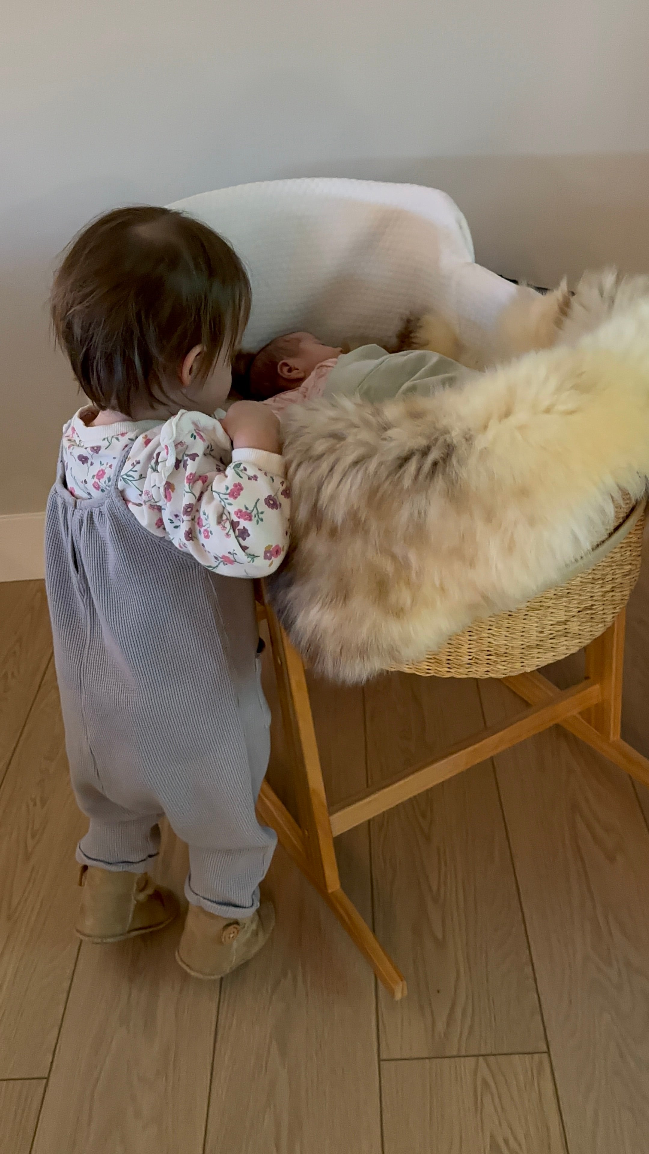 toddler looking into a bassinet where an infant is lying on a sheepskin