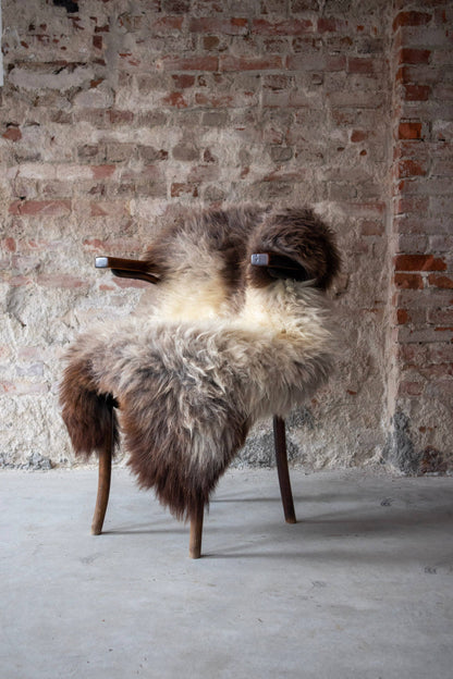 Blue Texel Sheepskin